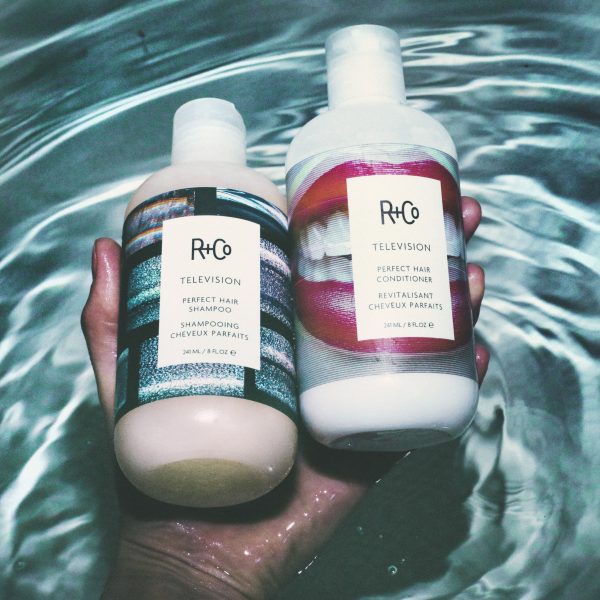 R+Co TELEVISION Perfect Hair Shampoo